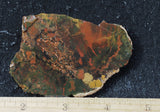 Whiskey Creek Jasper Rock Slab 141