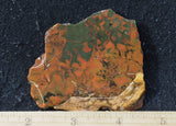 Whiskey Creek Jasper Rock Slab 81