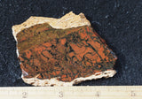 Whiskey Creek Jasper Rock Slab 78