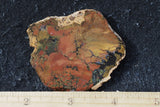 Whiskey Creek Jasper Rock Slab 74
