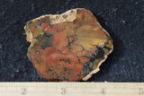 Whiskey Creek Jasper Rock Slab 74