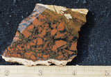 Whiskey Creek Jasper Rock Slab 97