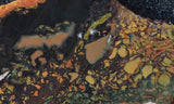 Whiskey Creek Jasper Rock Slab 92
