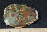 Whiskey Creek Jasper Rock Slab 113