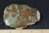 Whiskey Creek Jasper Rock Slab 113