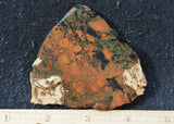 Whiskey Creek Jasper Rock Slab 151