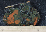 Whiskey Creek Jasper Rock Slab 155