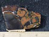 Whiskey Creek Jasper Rock Slab 99