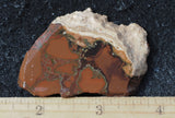 Whiskey Creek Jasper Rock Slab 158