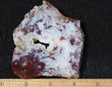 Cady Mountain Rock Slab 188