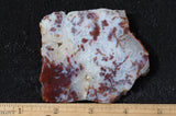 Bargain Bin E Slab 162