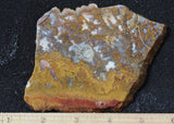 Bargain Bin E Slab 189