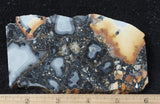Maligano Jasper Rock Slab 92