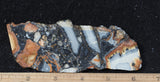 Maligano Jasper Rock Slab 88