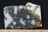 Maligano Jasper Rock Slab 93