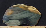 Blue Mountain Jasper Rock slab 41