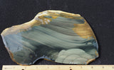 Blue Mountain Jasper Rock slab 42