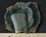 Blue Mountain Jasper Rock slab 43