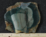 Blue Mountain Jasper Rock slab 43