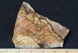 Biggs Jasper Rock Slab 460
