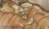 Biggs Jasper Rock Slab 460