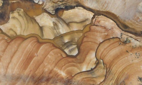 Biggs Jasper Rock Slab 460