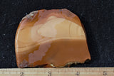 Bruneau Jasper Rock Slab 456
