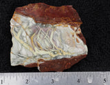 Willow Creek Jasper Rock  Slab 831