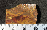 Binghamite Slab 98