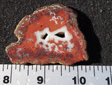 Brenda Jasper Rock Slab 182