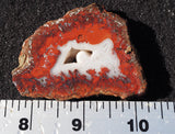 Brenda Jasper Rock Slab 179