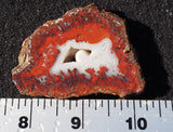 Brenda Jasper Rock Slab 179