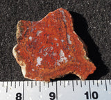 Brenda Jasper Rock Slab 183