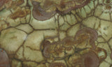Bargain Bin E Slab 185