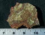 Bargain Bin E Slab 185