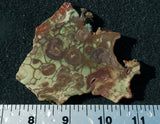 Spiderweb Jasper Slab 97