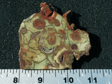 Spiderweb Jasper Slab 92