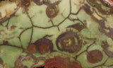 Spiderweb Jasper Slab 94