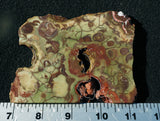 Spiderweb Jasper Slab 94