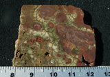 Spiderweb Jasper Slab 90