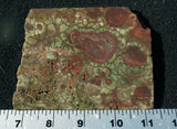 Spiderweb Jasper Slab 87