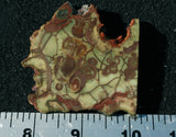 Spiderweb Jasper Slab 91