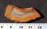 Brazilian Agate Rock Slab 99