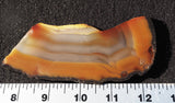 Brazilian Agate Rock Slab 98