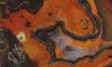 Piranha Slab 79