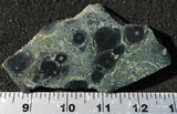 Kambaba Slab 67