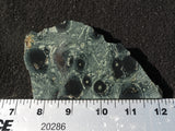 Kambaba Slab 66