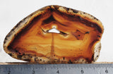 Montana Agate Rock Slab 162