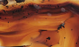 Montana Agate Rock Slab 162