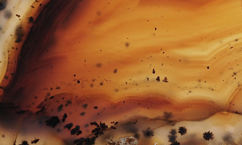 Montana Agate Rock Slab 162